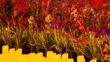 Candlelight : le meilleur de Bridgerton par un ensemble à cordes