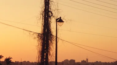 Aflam x Festival Karkadé | D'encre et de lumière, Tripoli entre littérature et cinéma