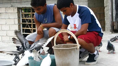 Biennale de la culture cubaine | Habanastation de Ian Padrón
