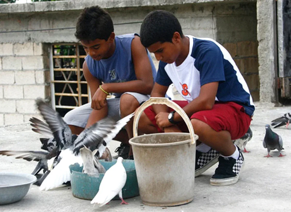 Biennale de la culture cubaine | Habanastation de Ian Padrón