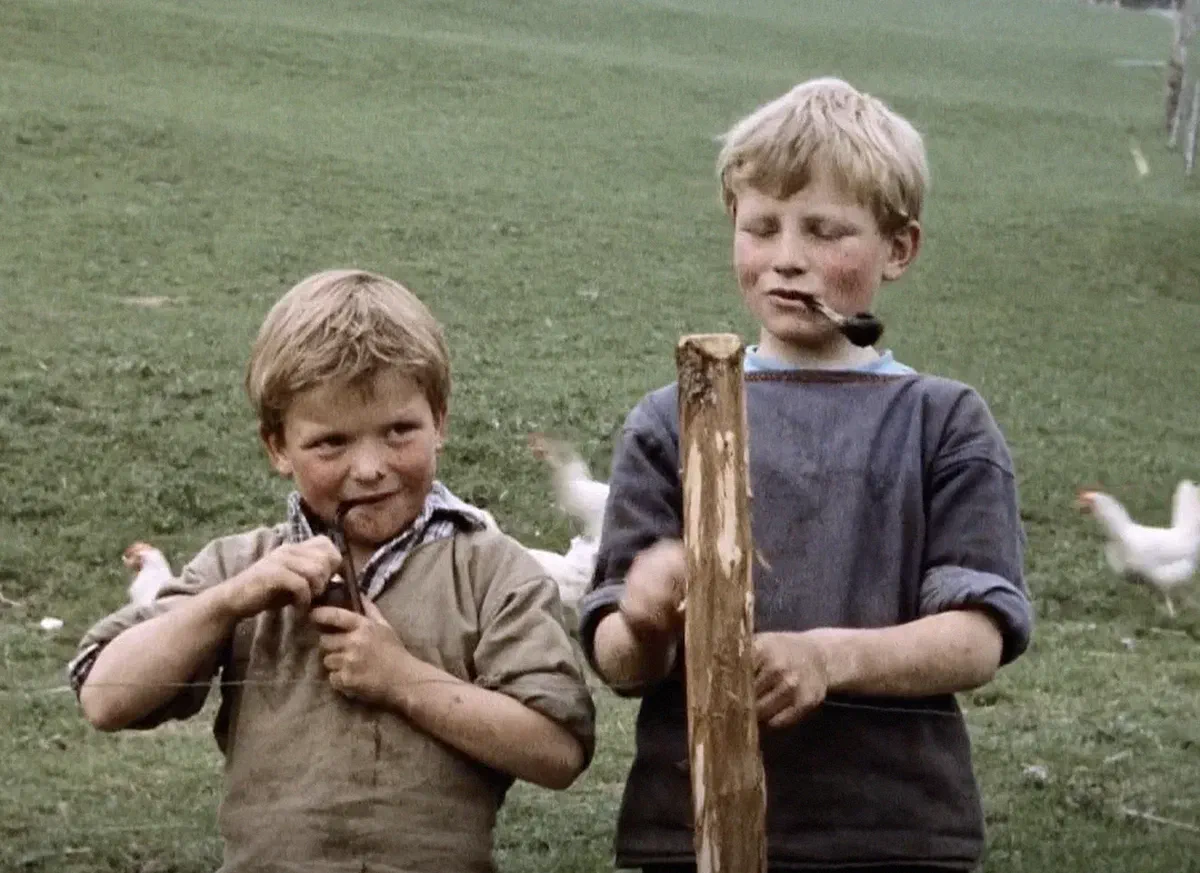 De la montagne | Ce n'est pas notre faute si nous sommes des montagnards