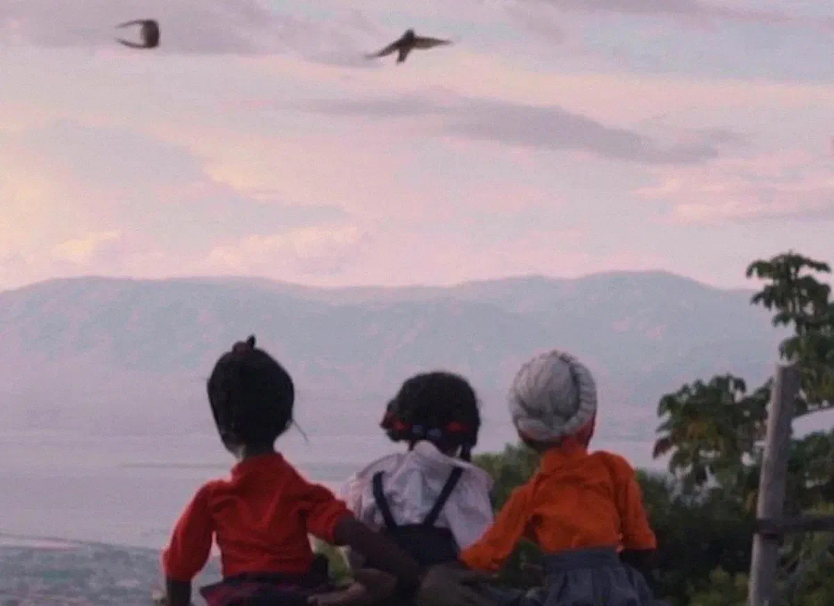 Imaginaires Documentaires | Cinémas haïtiens