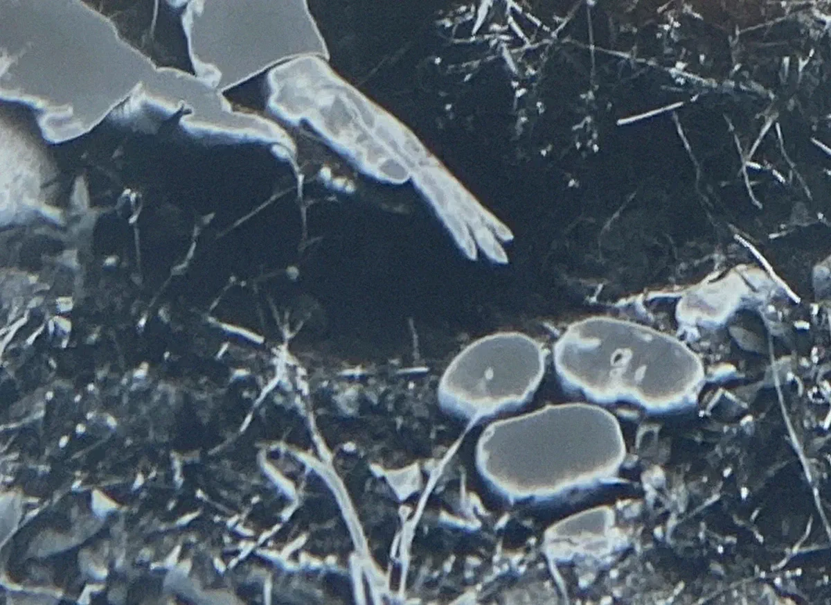 KOTO #4 | Marc Baron + Atelier MTK