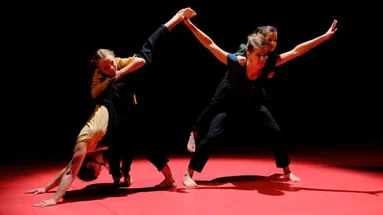 Le labyrinthe de l’oie