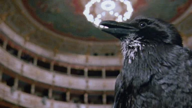 Même Pas Peur ! #11 | Opera de Dario Argento