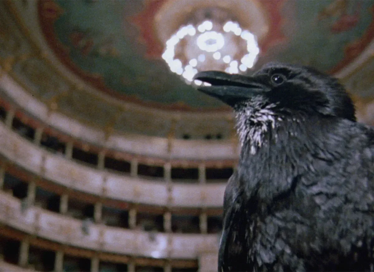 Même Pas Peur ! #11 | Opera de Dario Argento