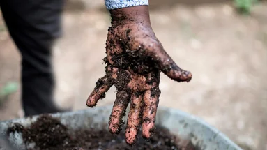 Nature & Biens Communs Terres & Résistances - Nature & Biens Communs