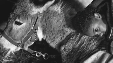 Open the mind #9 | Fortuna de Germinal Roaux