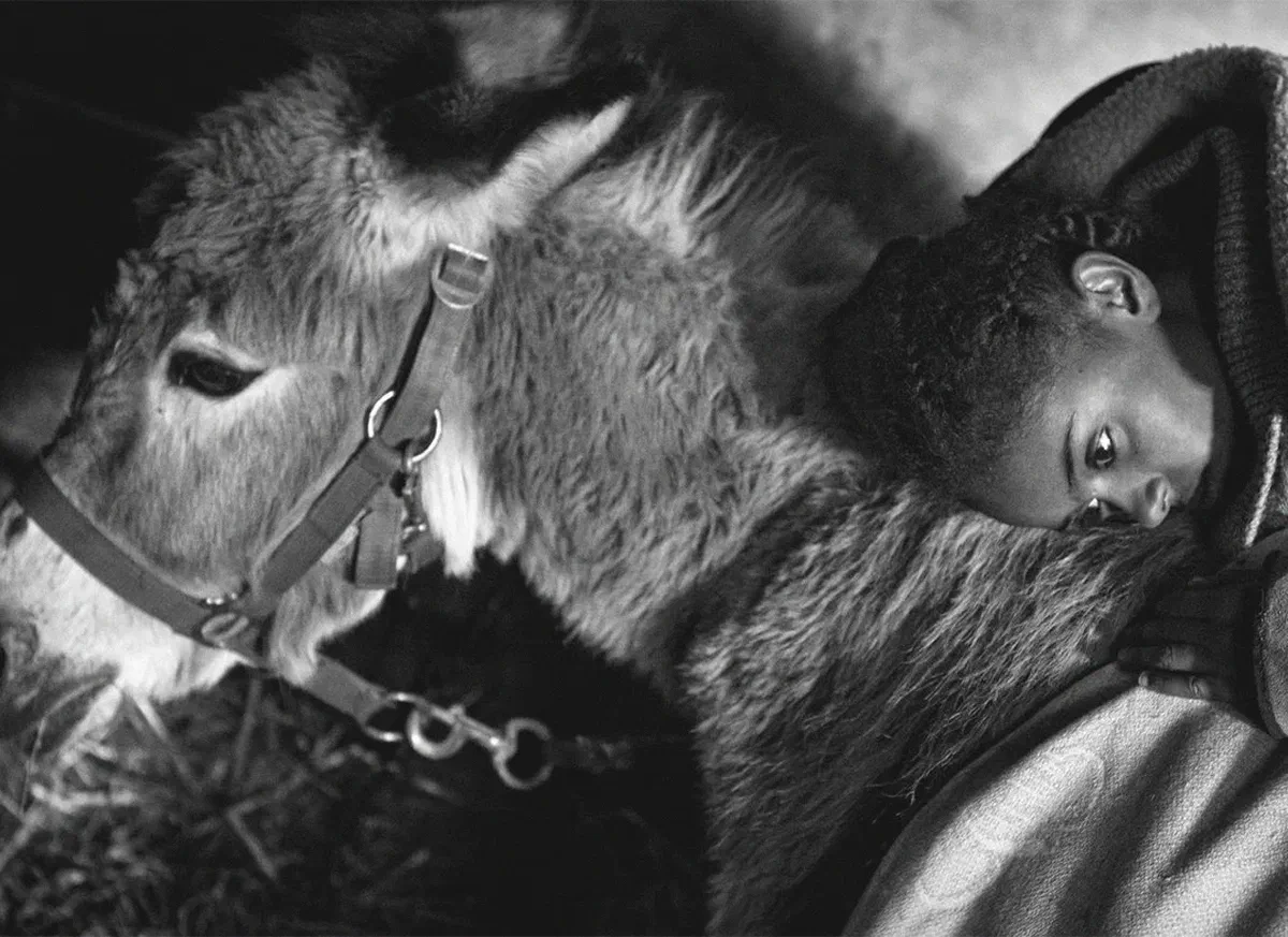 Open the mind #9 | Fortuna de Germinal Roaux