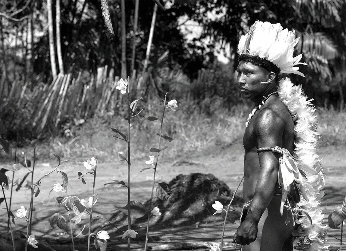 Rencontres Amazonie | L'Étreinte du Serpent de Ciro Guerra