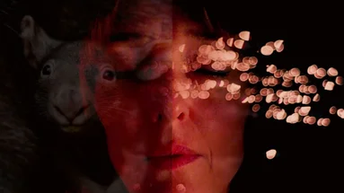 Rendez-vous avec Plumwood #6