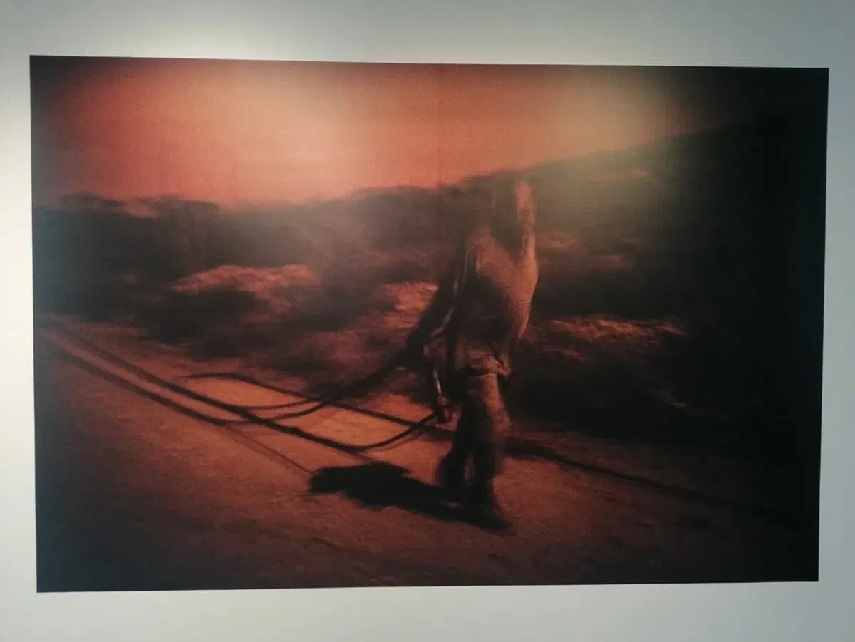 Terres & Résistances : une belle et forte exposition à voir au Zef
