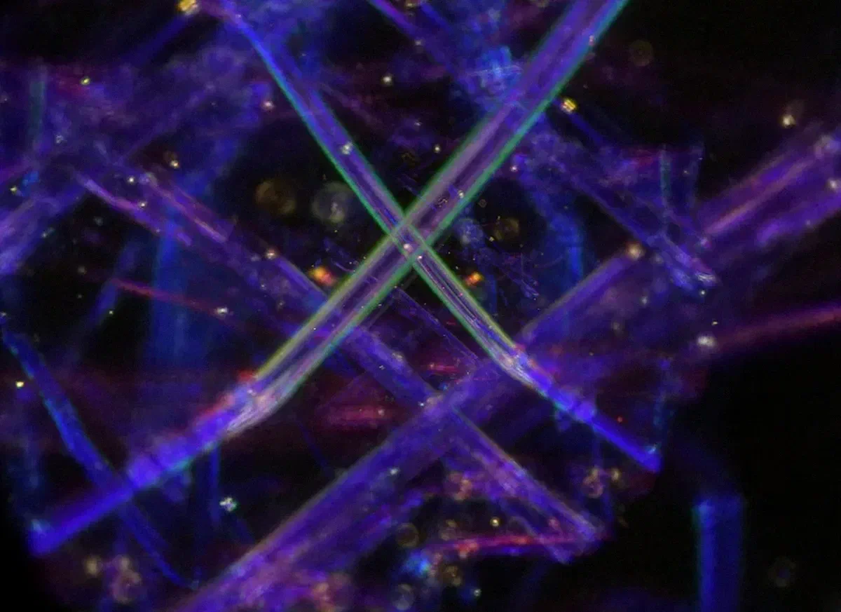 Terrestre #4 | Chrysotile de Sarah Del Pino